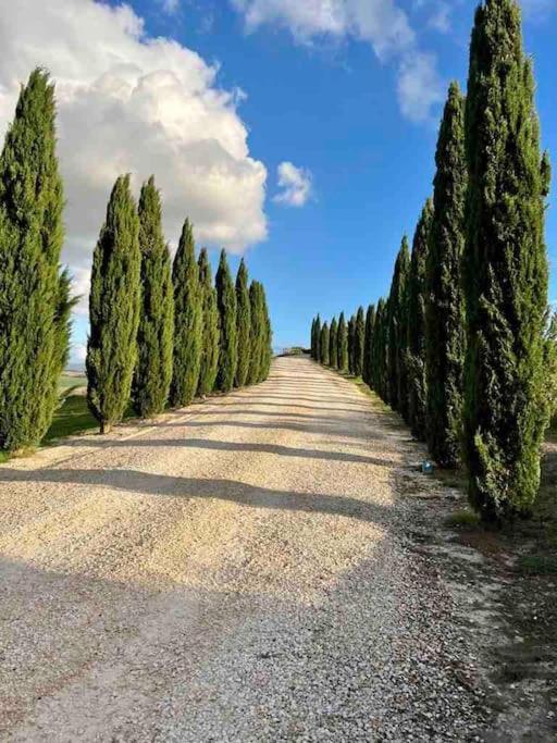 Toscana Amore Mio, Stunning View & 14Min Volterra Montecatini Val di Cecina Dış mekan fotoğraf